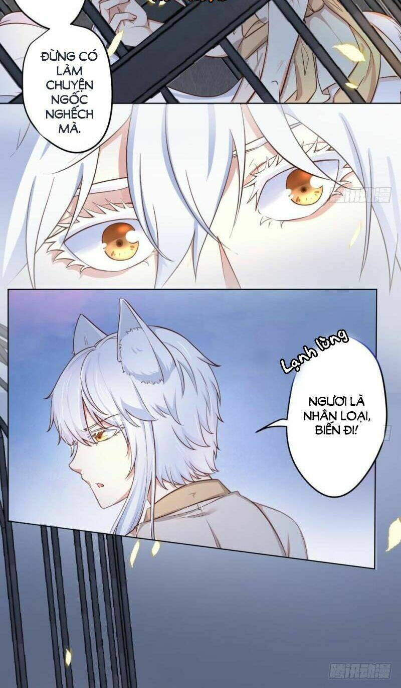 Hậu Cung Của Nữ Hoàng Có Chút Loạn: Chapter 11