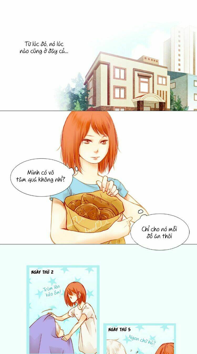 Little Rain: Chapter 1