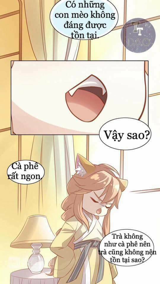 Dưới Móng Vuốt Mèo: Chapter 8