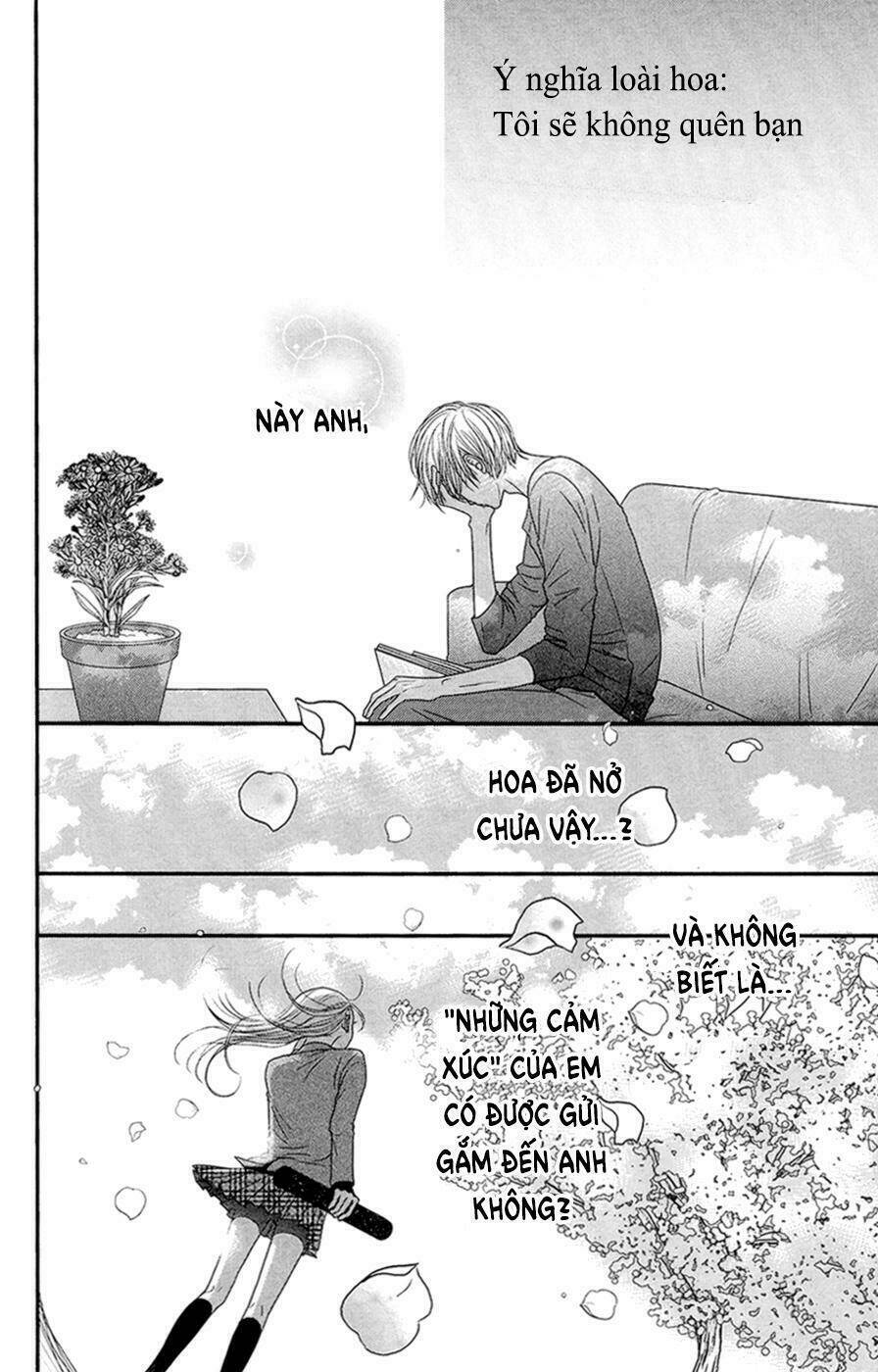 Đóa Hoa Năm Ấy: Chapter 4