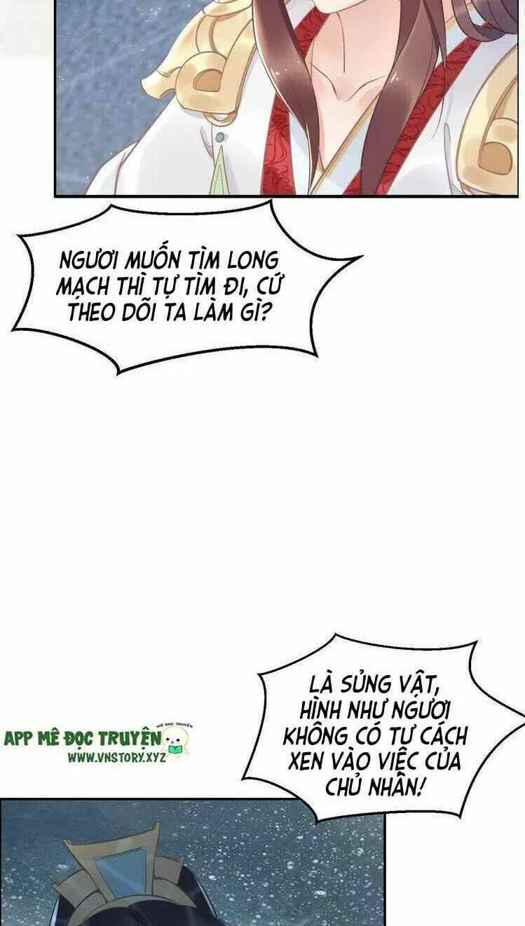 Nhất Sinh Nhất Thế Tiếu Thương Khung: Chapter 25