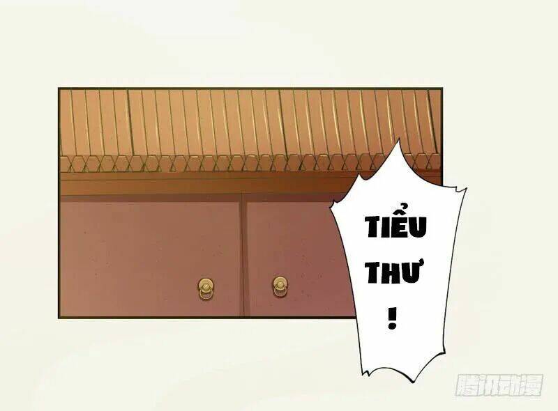 Tuyệt Thế Luyện Đan Sư: Chapter 12