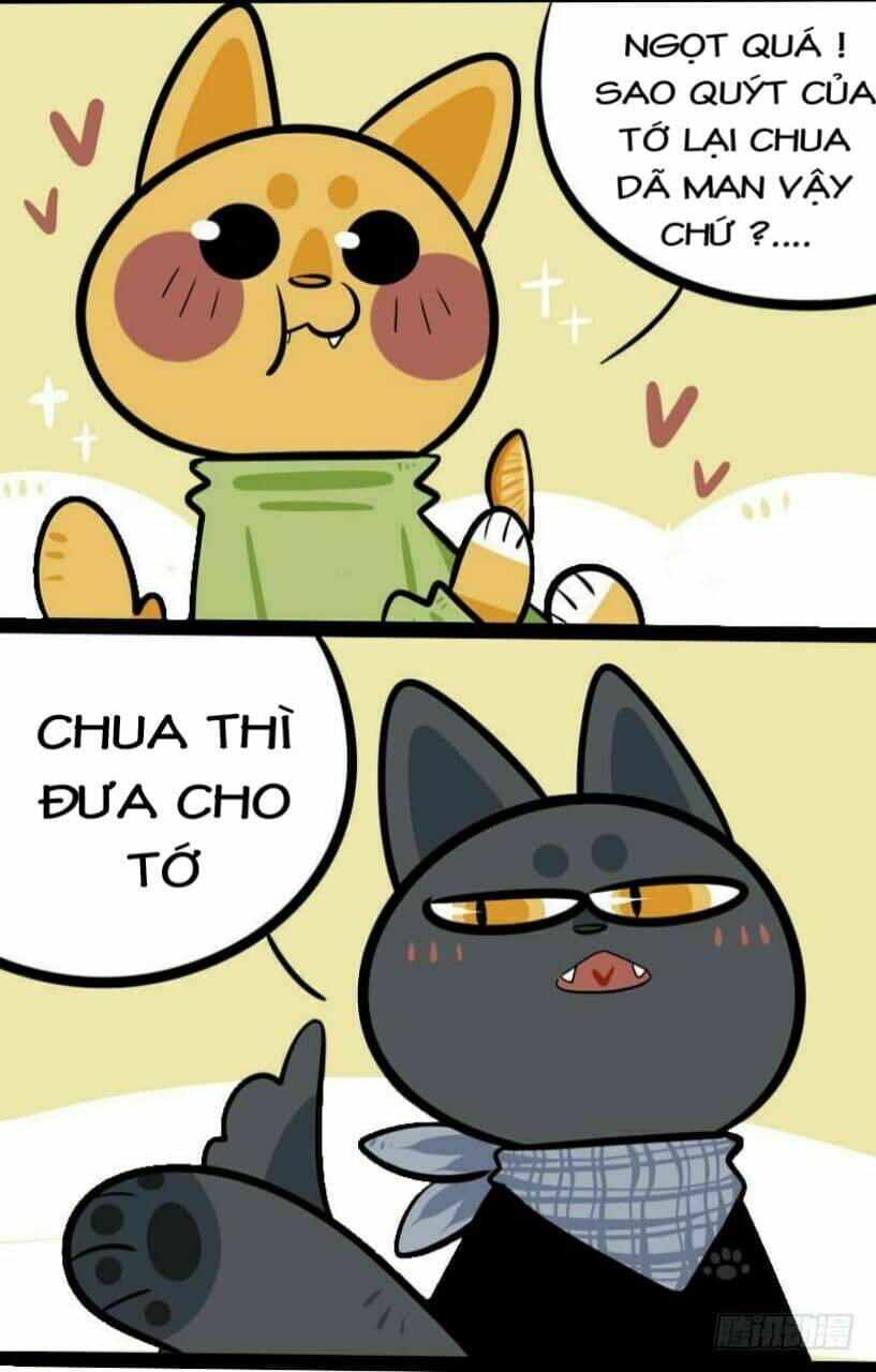 Đời Không Như Mình Tưởng: Chapter 9