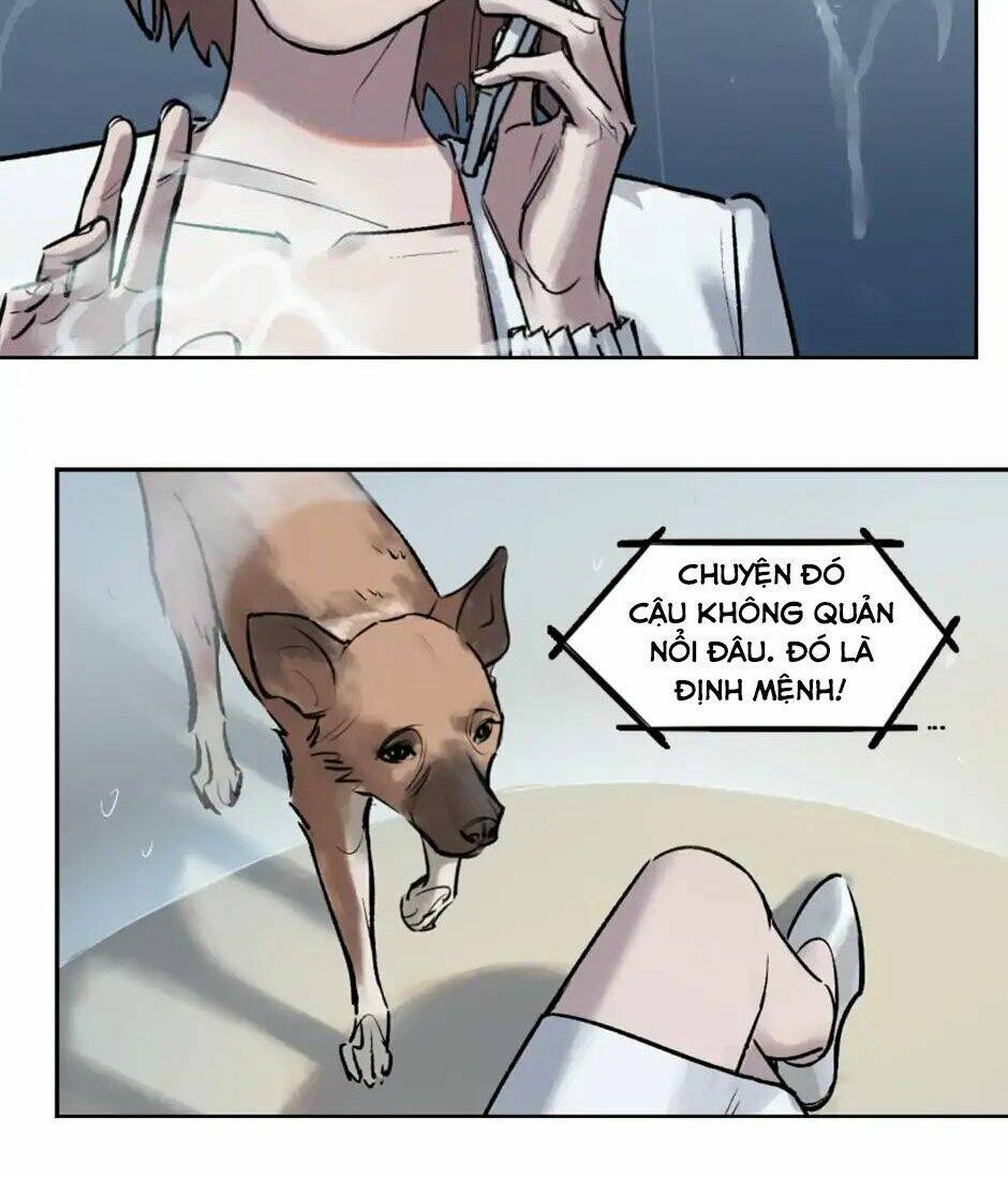 Anh Hùng Và Hiệp Nữ: Chapter 1