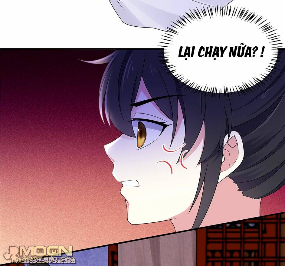 Báo Cáo! Đế Quân Ngài Có Độc!: Chapter 41