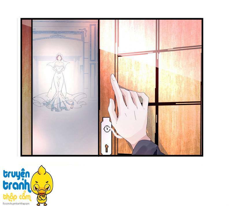 Cường Sủng Hào Môn Tiểu Manh Thê: Chapter 1