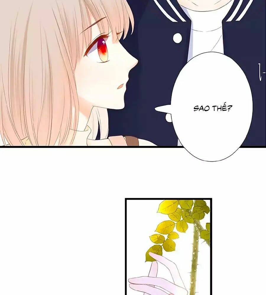 Đóa Hoa Chớm Nở: Chapter 20