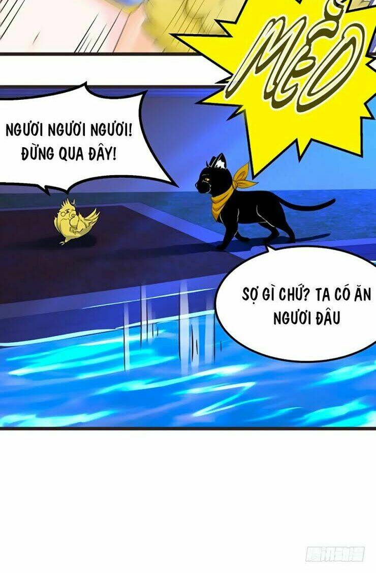 Thâm Hải Chi Ca: Chapter 11