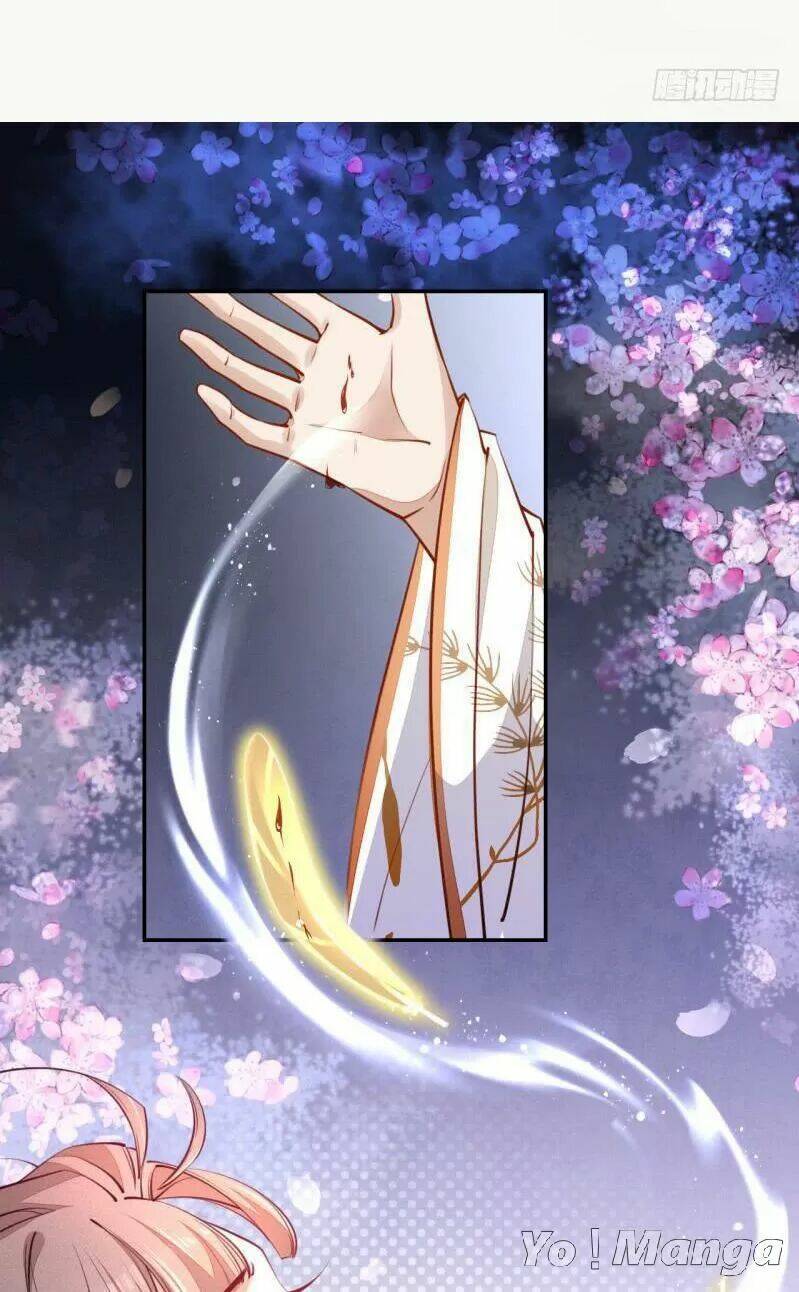 Tuyệt Thế Luyện Đan Sư: Chapter 48