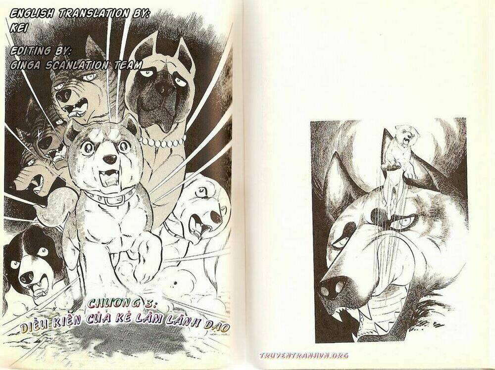 Chú Chó Có Nghĩa - Ginga Nagareboshi Gin: Chapter 20