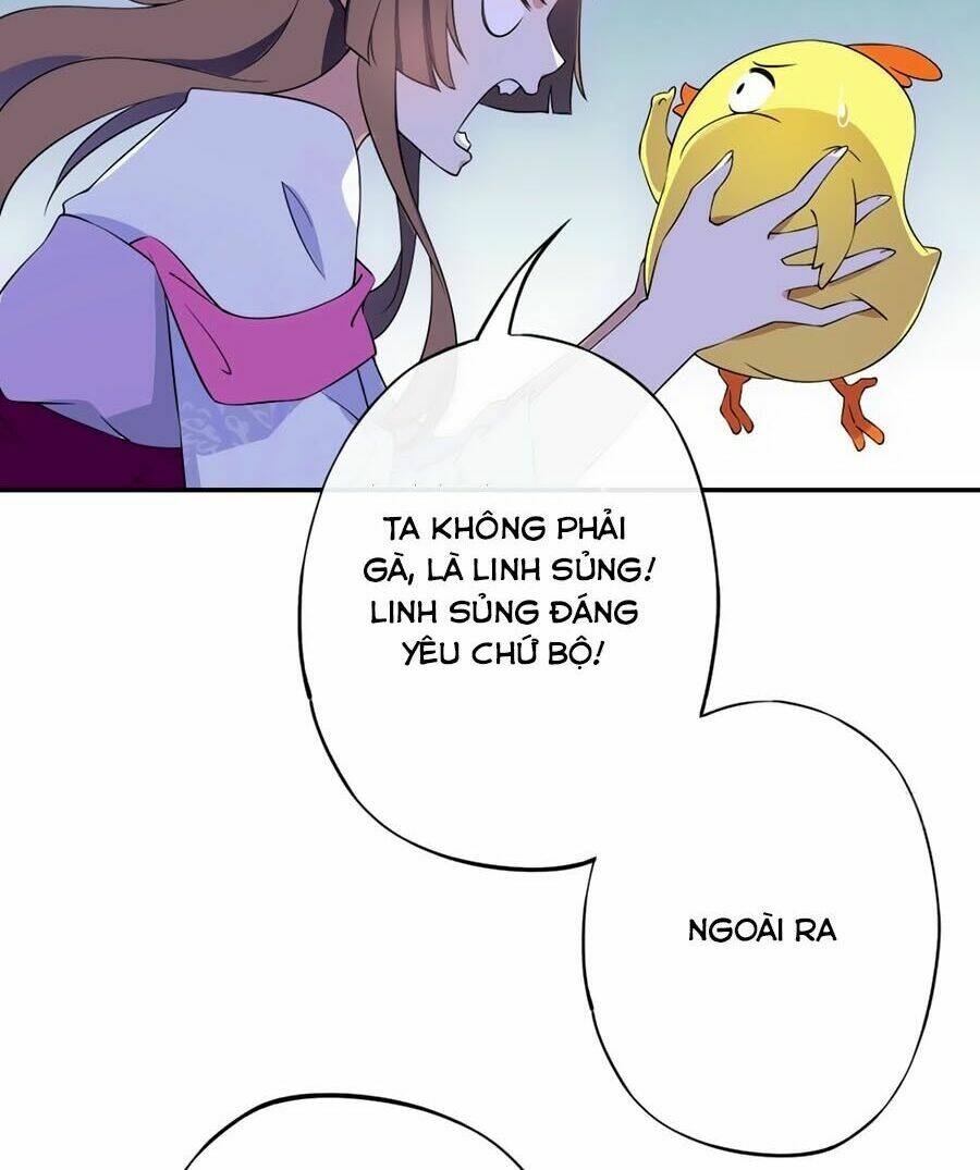 Vương Phi Có Chút Nghịch Ngợm: Chapter 1
