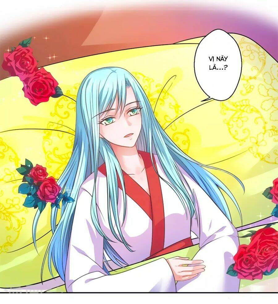 Khuynh Thế Y Phi Muốn Bỏ Chồng: Chapter 40