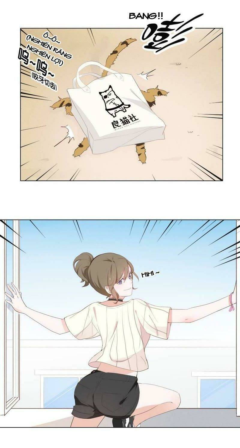 Thập Nhị Hắc Miêu: Chapter 1