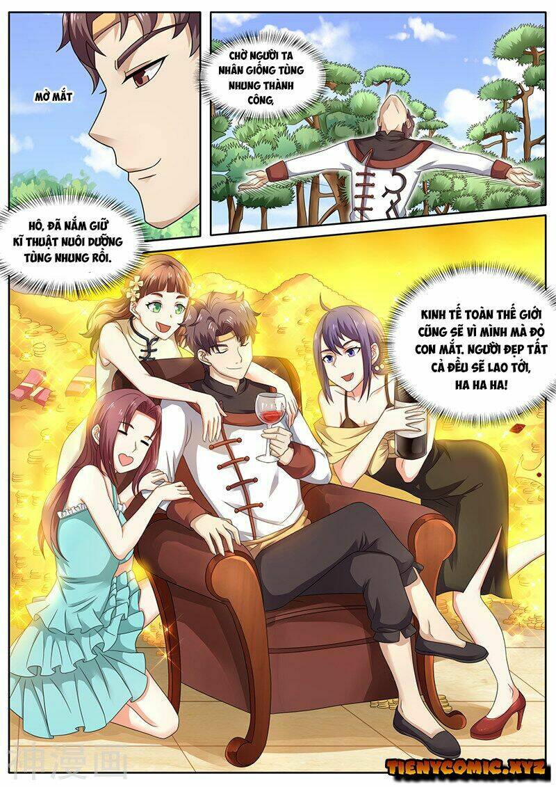 Siêu Cấp Thần Y Hệ Thống: Chapter 73