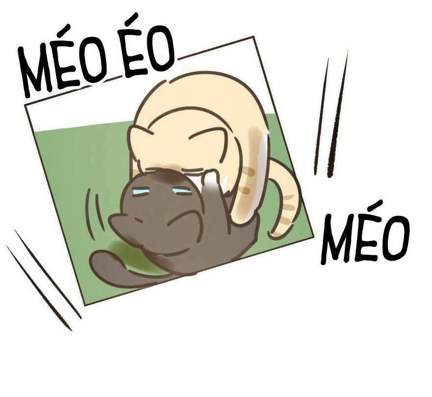 Truy Bắt Ngao Ngao: Chapter 25