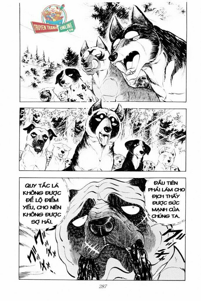 Chú Chó Có Nghĩa - Ginga Nagareboshi Gin: Chapter 30.2