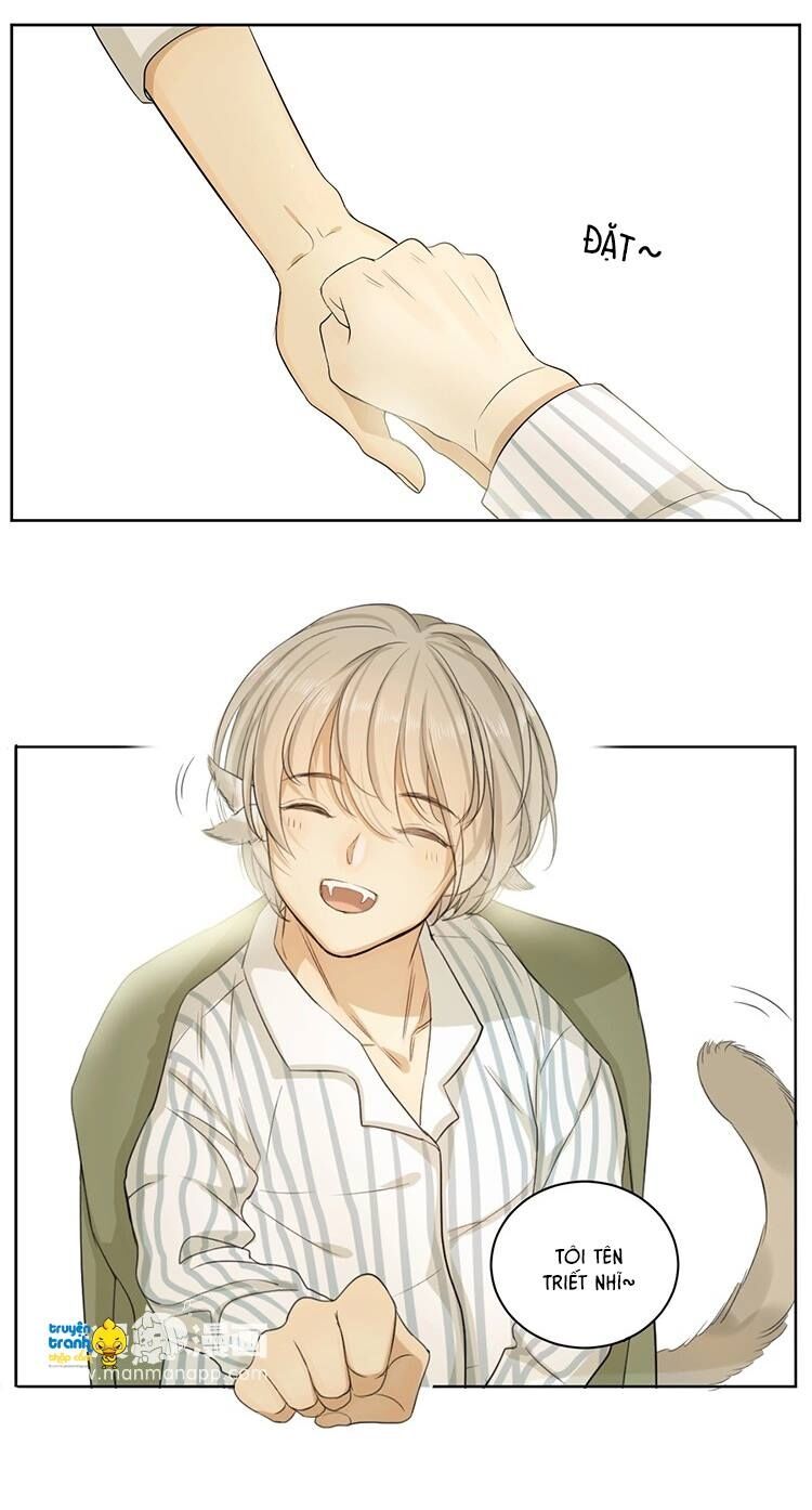 Cứu mạng ! Loài mèo thống trị thế giới rồi !: Chapter 8