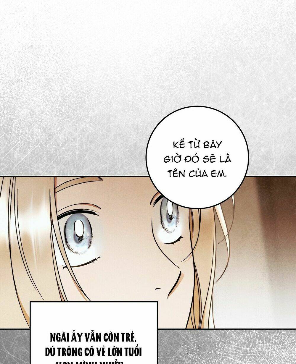 Lời Nói Dối Vĩnh Cửu: Chapter 24