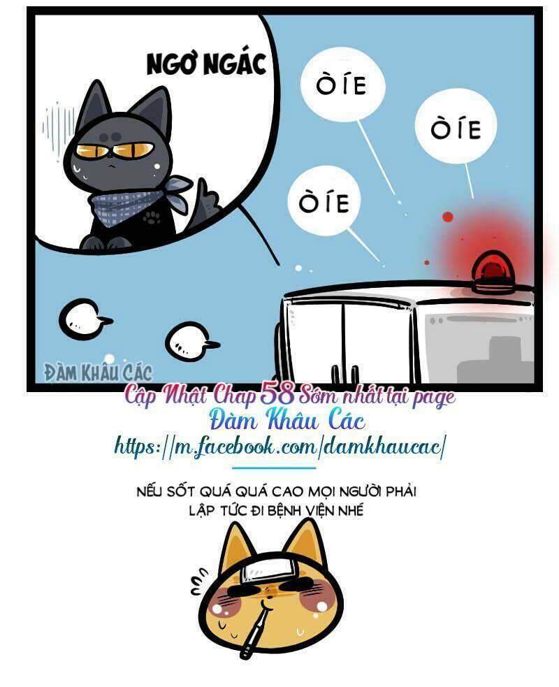 Đời Không Như Mình Tưởng: Chapter 57