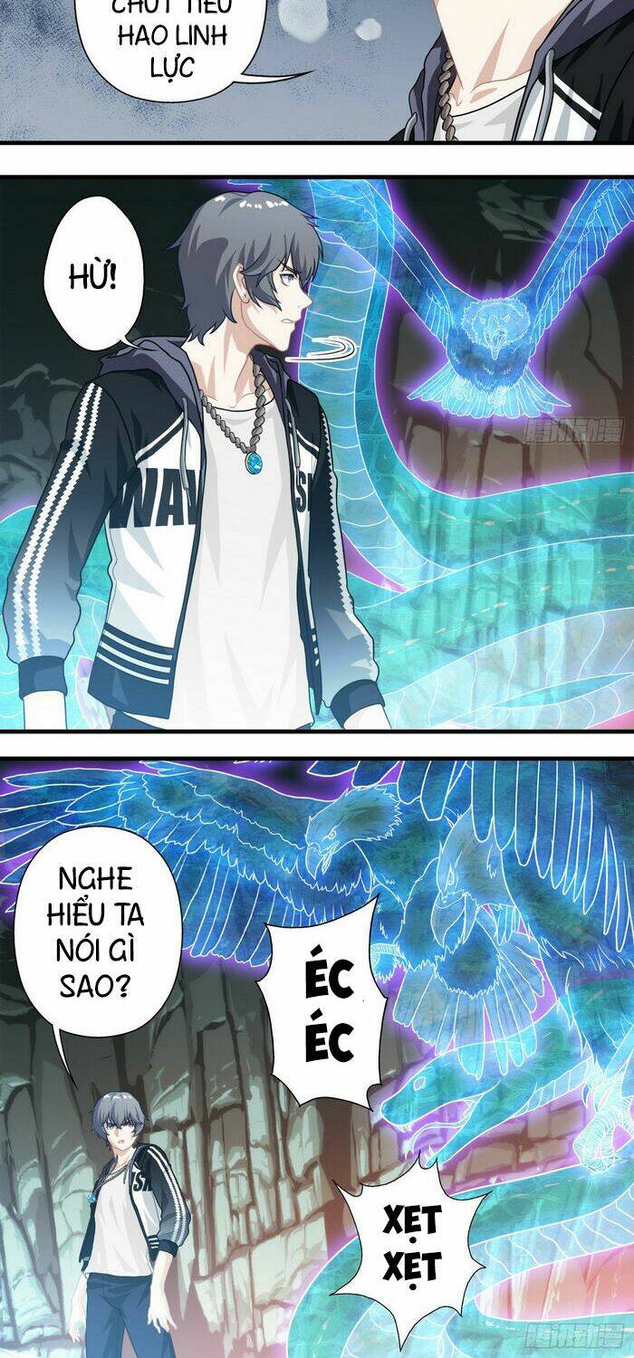 Ta Tu Linh Mạch Ở Hoa Hạ: Chapter 11