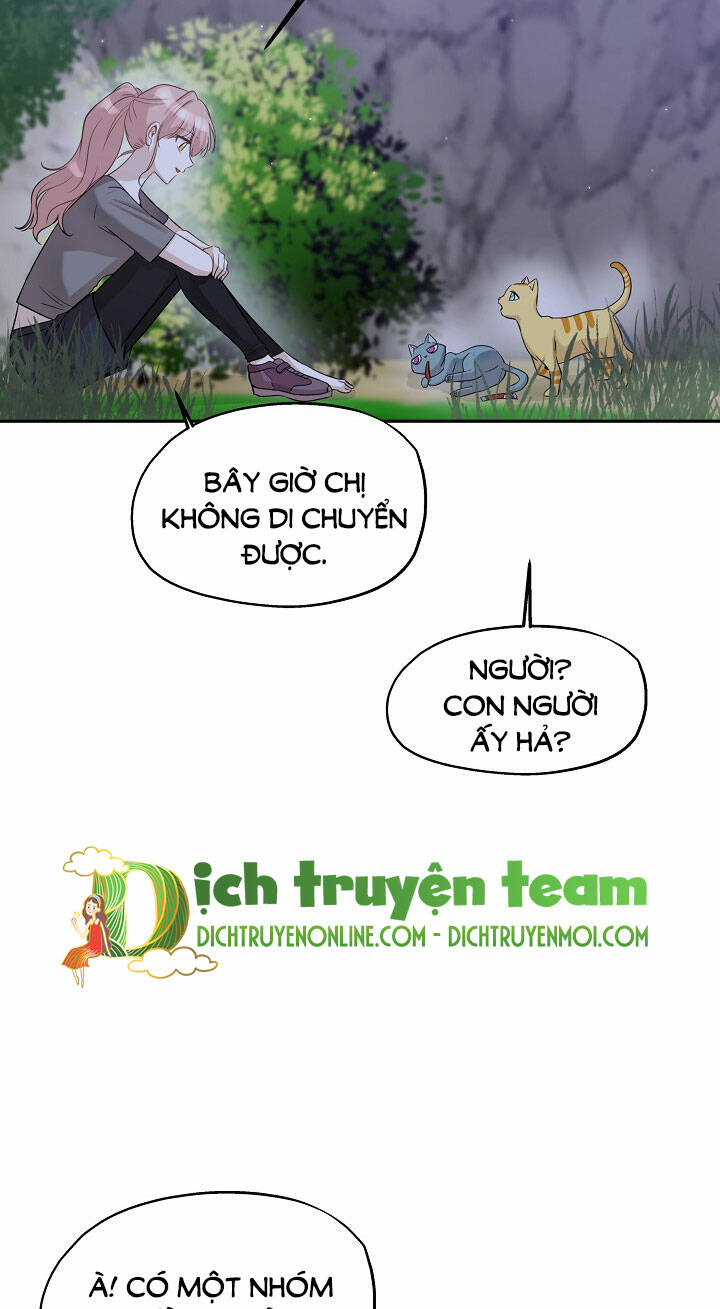 Cuộc Sống Kỳ Thú: Chapter 97