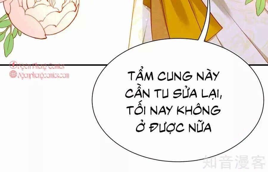 Sủng Hậu Của Vương: Chapter 7
