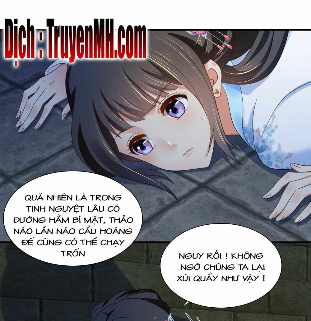 Lãnh Cung Phế Hậu Muốn Nghịch Thiên: Chapter 101
