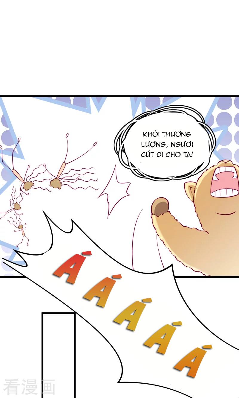 Tiểu Hoàng Thư Và Tiểu Hoàng Thúc: Chapter 35