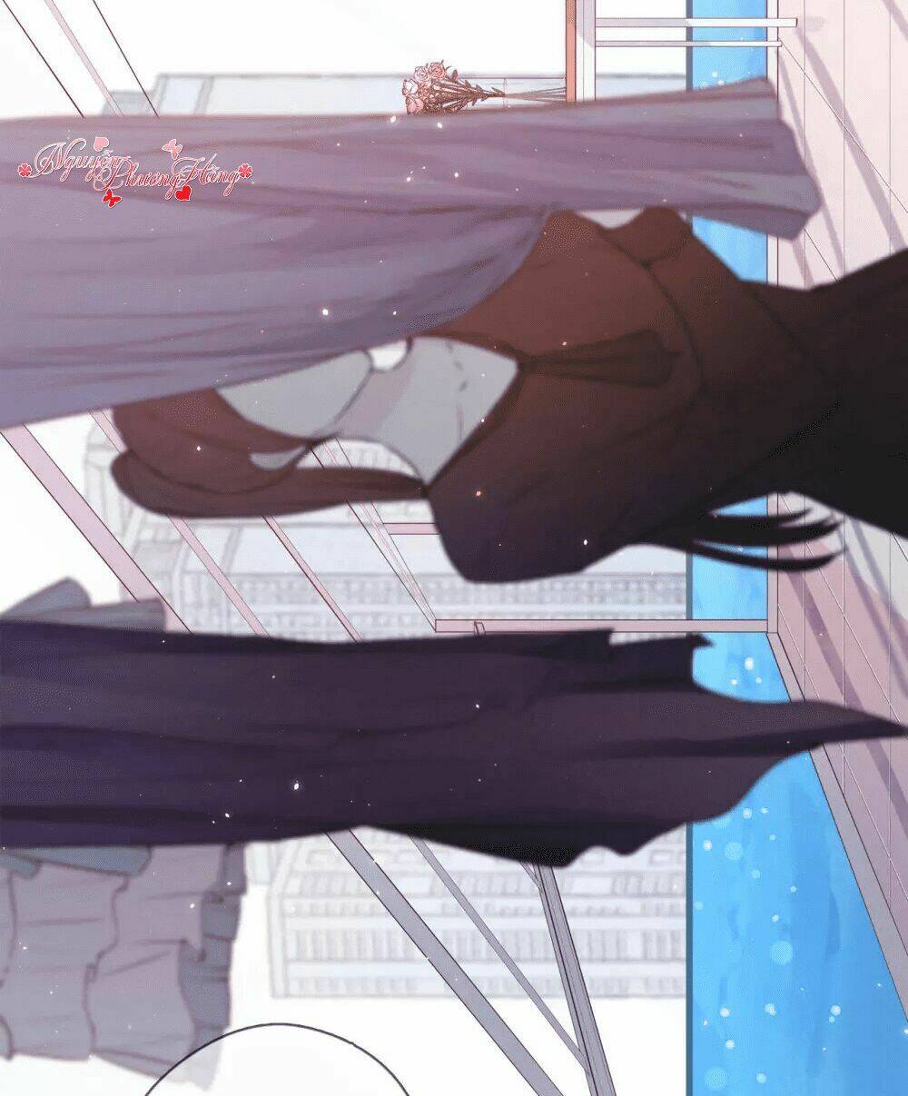 Sắc Đẹp Do Trời Sinh Của Tôi: Chapter 0