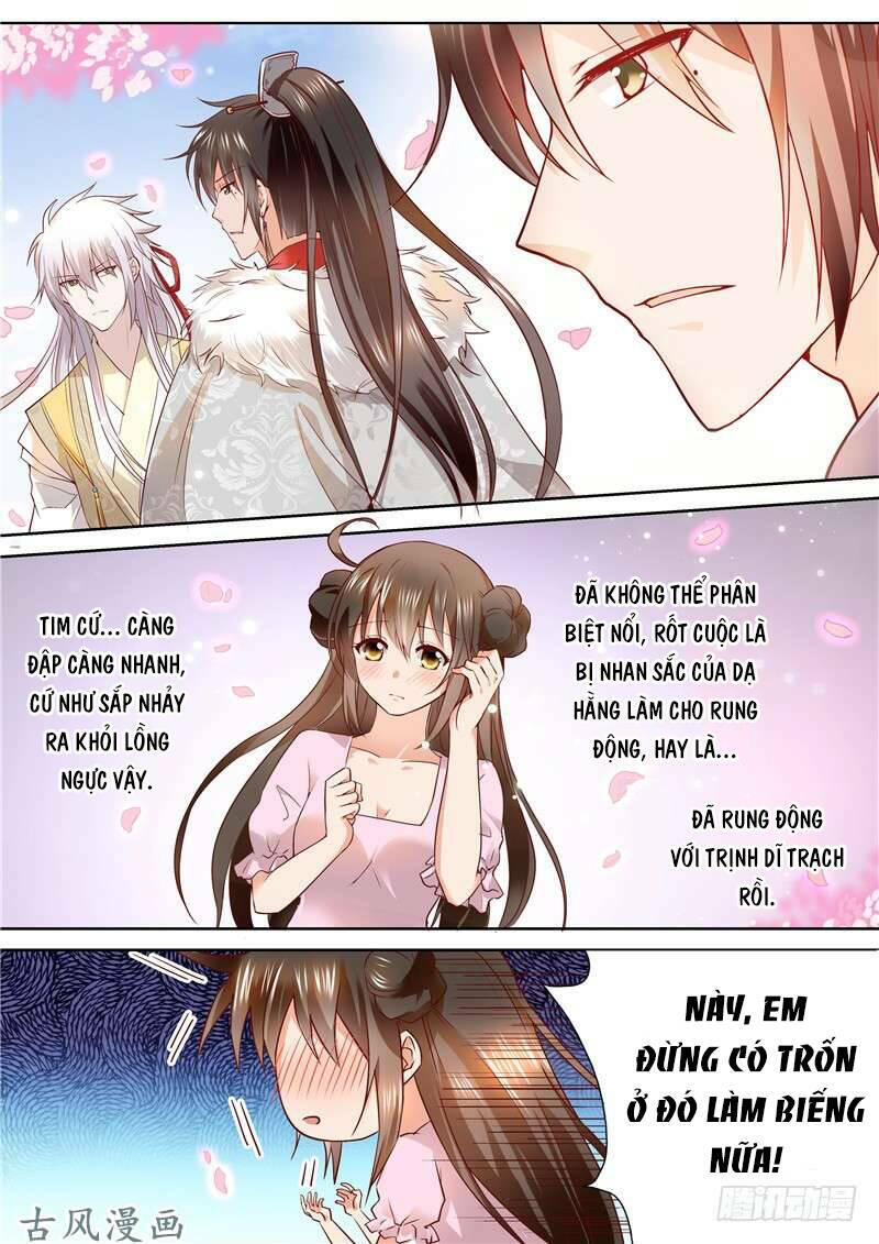 Người Thừa Kế Giá Đáo: Hiệu Thảo Làm Loạn Đủ Chưa?: Chapter 105