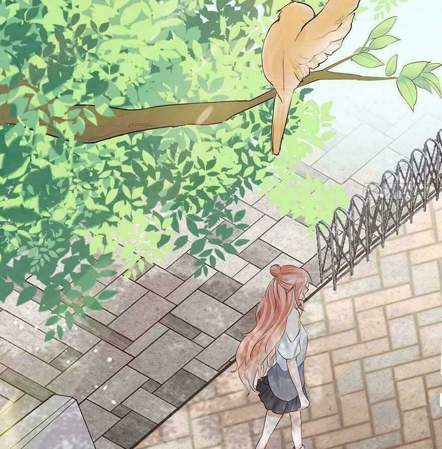 Sau Này Vẫn Cứ Thích Em: Chapter 35