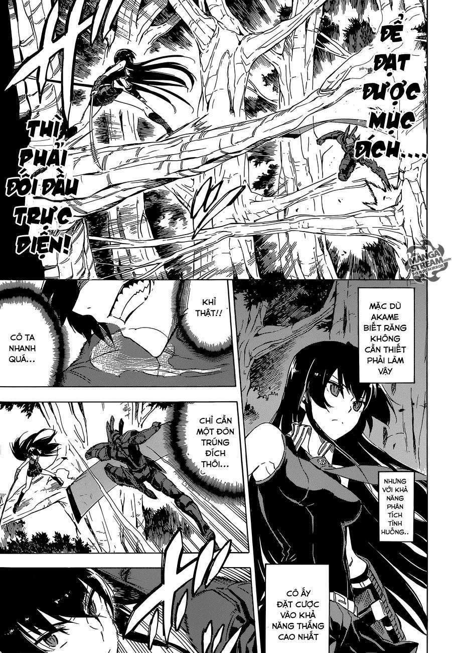 Akame Ga Kiru: Chapter 62
