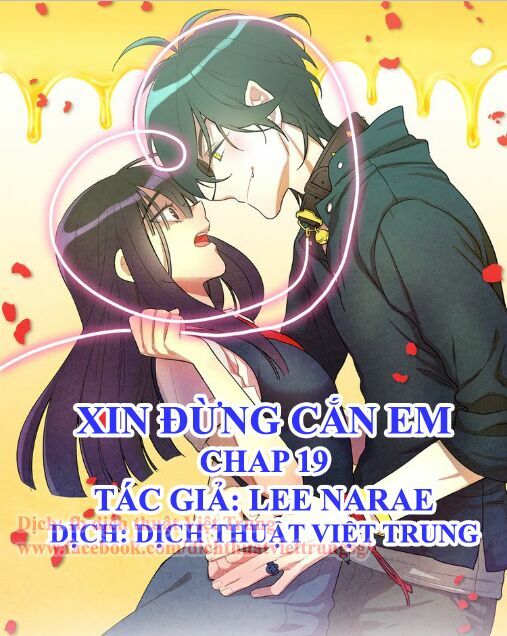 Xin Đừng Cắn Em: Chapter 19