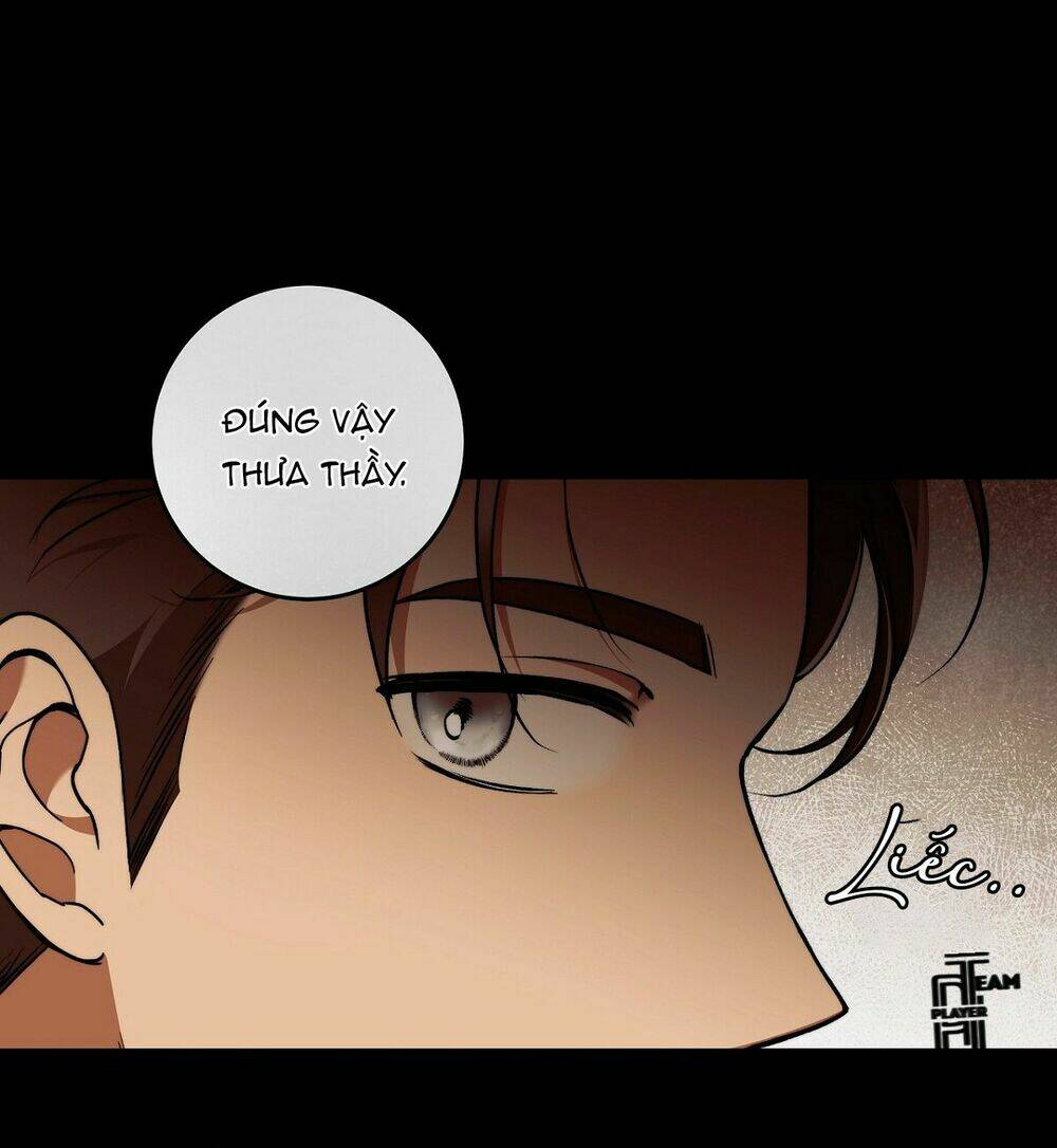 Lời Nói Dối Vĩnh Cửu: Chapter 29