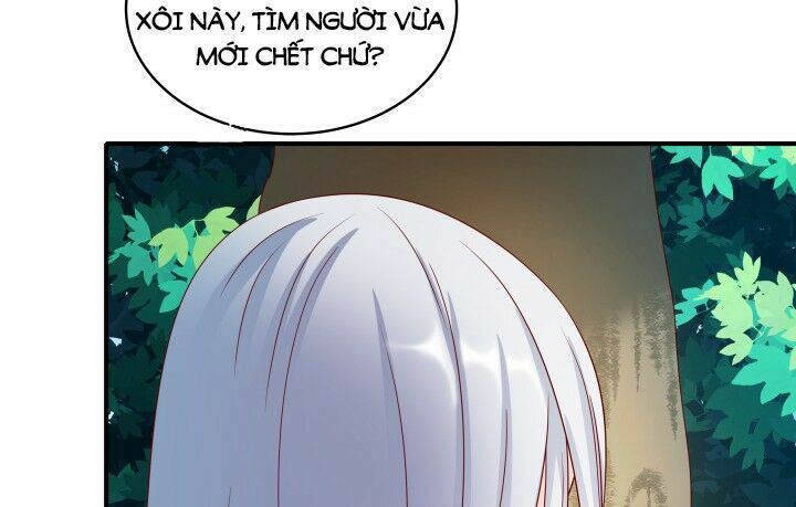 Đô đốc đại nhân sủng thê kí: Chapter 2.3