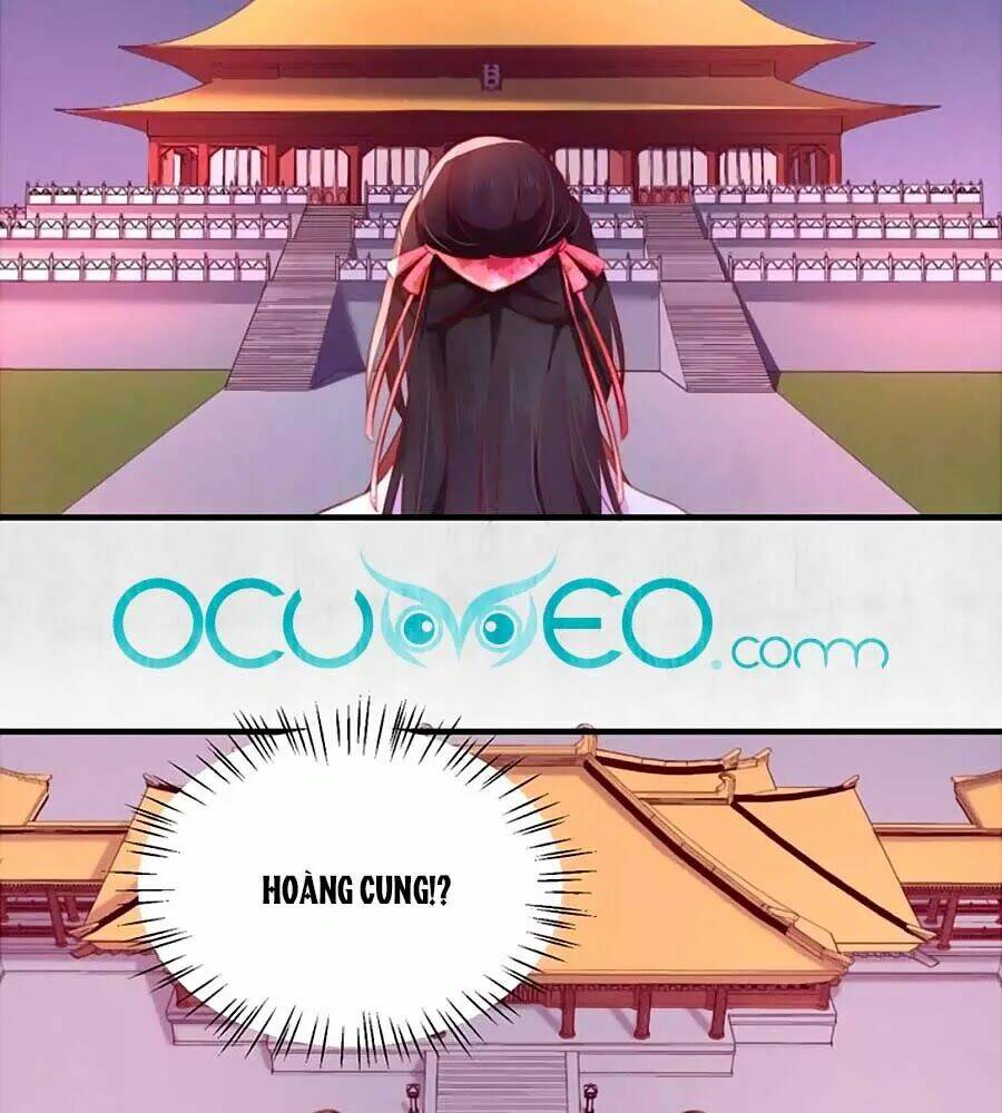 Hoạn Phi Hoàn Triều: Chapter 88