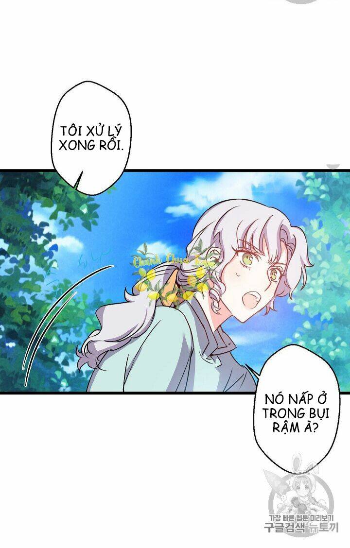 Hôn Lễ Báo Thù: Chapter 14