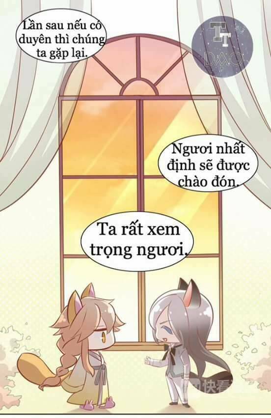 Dưới Móng Vuốt Mèo: Chapter 8