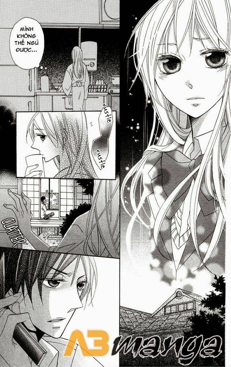 Hoa Hồng Hoang Dã: Chapter 7