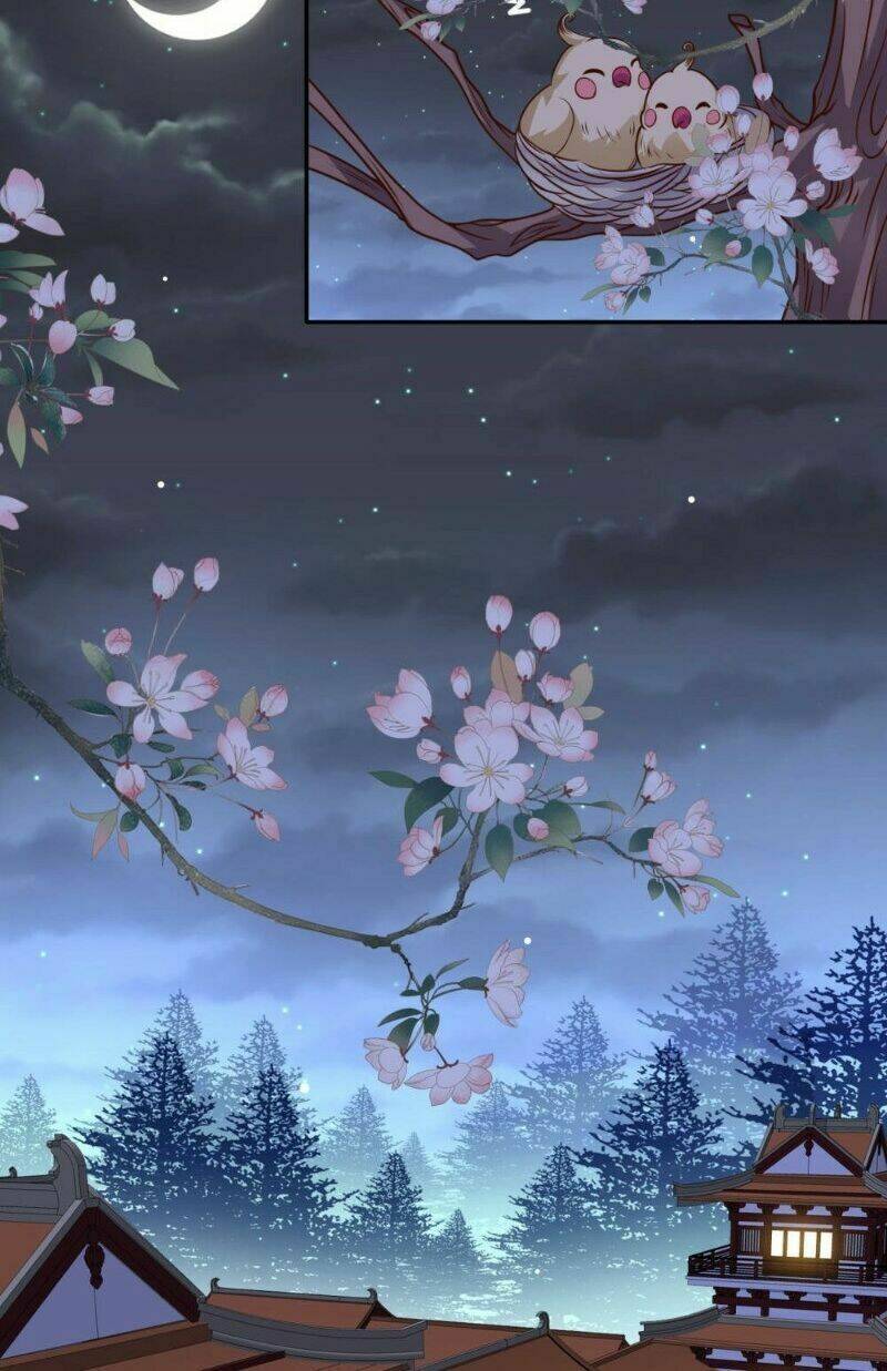 Đích Nữ Kiều Phi: Chapter 21