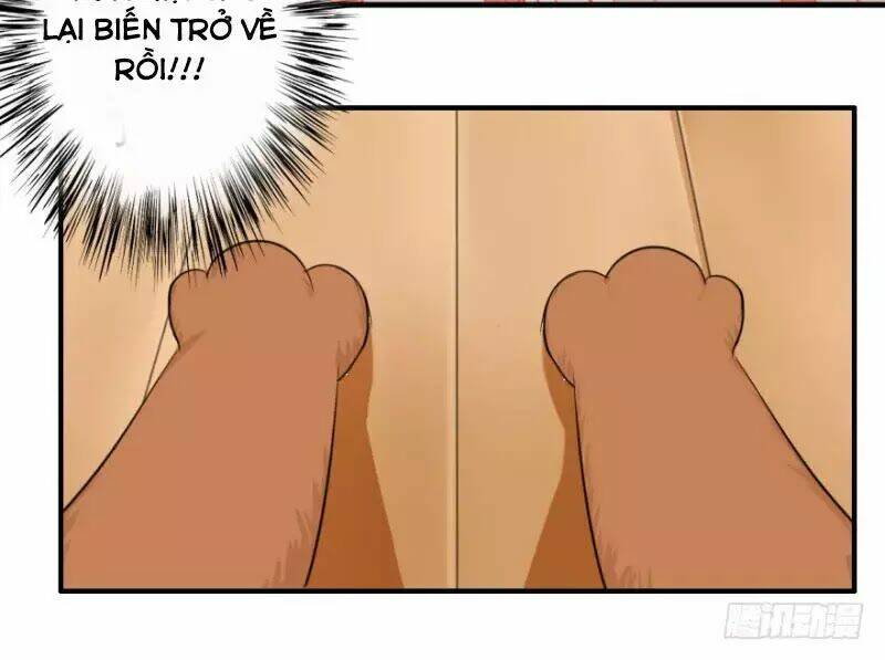 Hành Trình Sủng Đế Cơ: Chapter 2