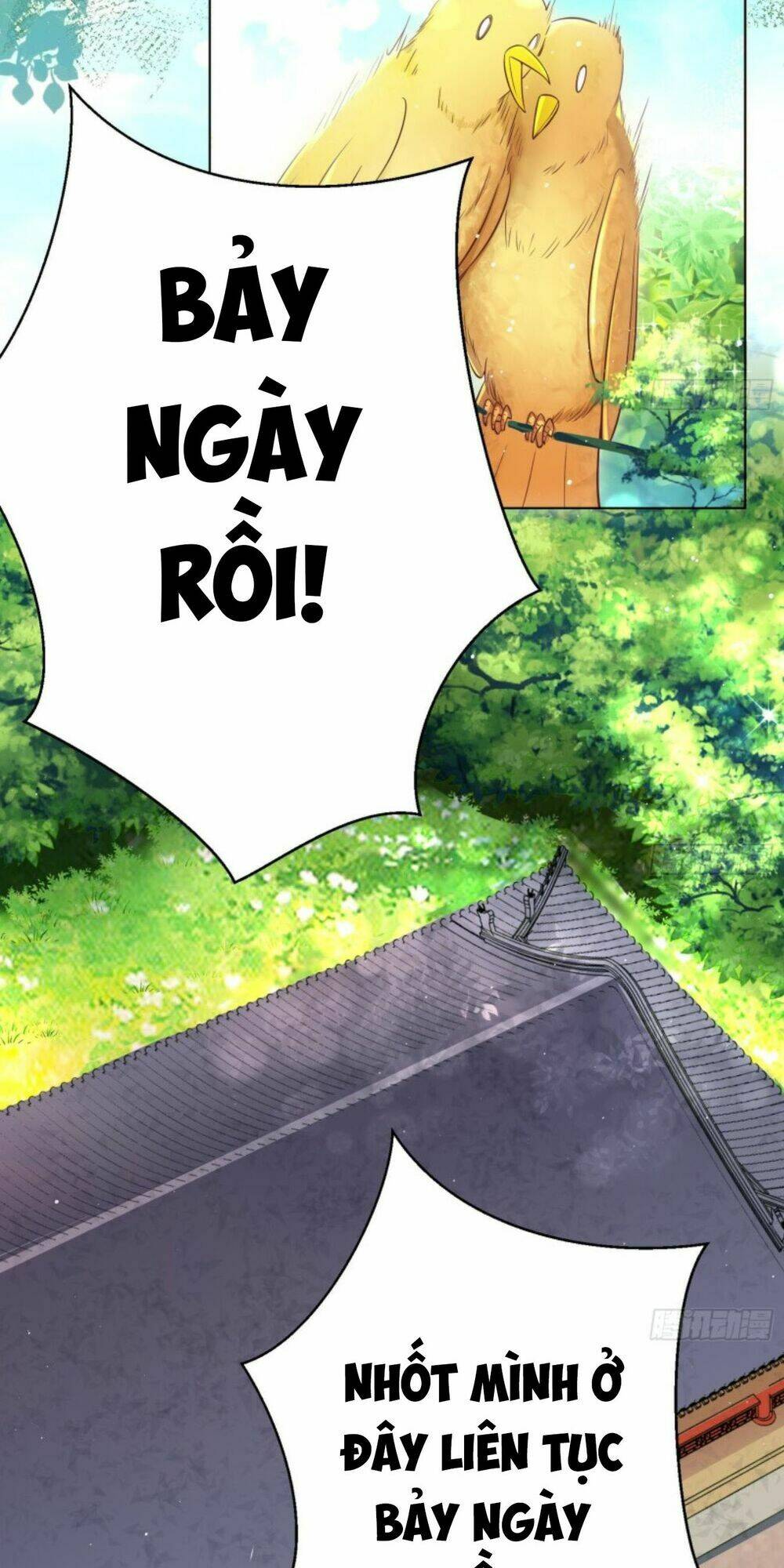 Hậu Cung Của Nữ Hoàng Có Chút Loạn: Chapter 9