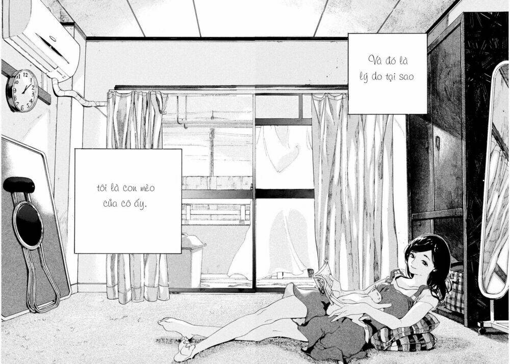 Chú Mèo Và Cô Chủ: Chapter 1