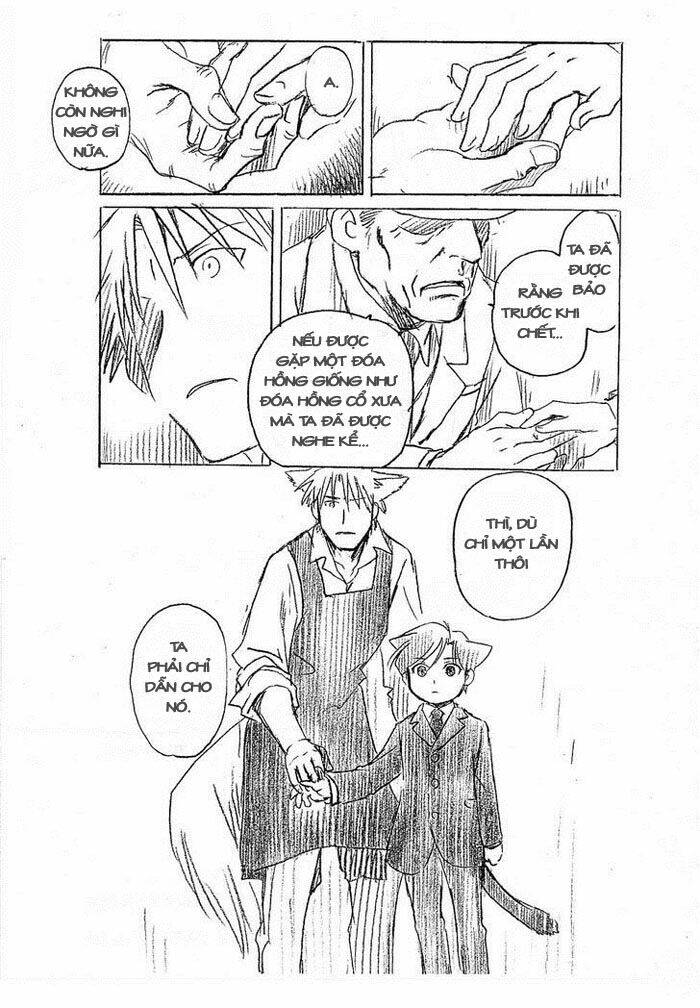 Maiden Rose-Special: Chapter 11.1