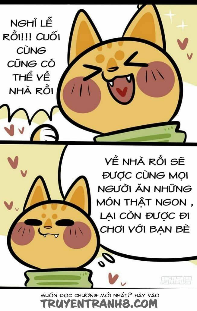 Đời Không Như Mình Tưởng: Chapter 5
