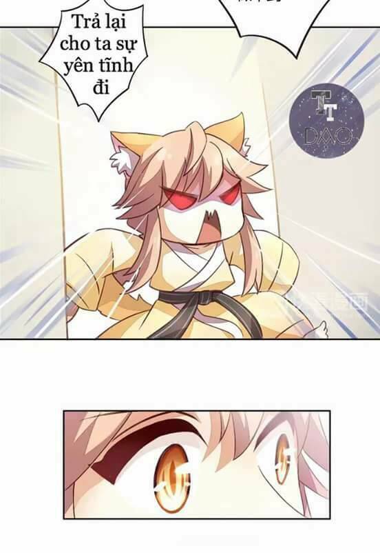 Dưới Móng Vuốt Mèo: Chapter 5