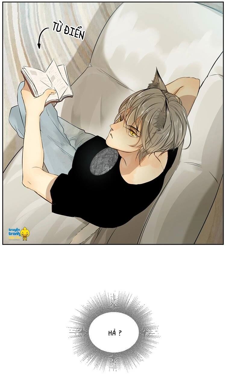 Cứu mạng ! Loài mèo thống trị thế giới rồi !: Chapter 10