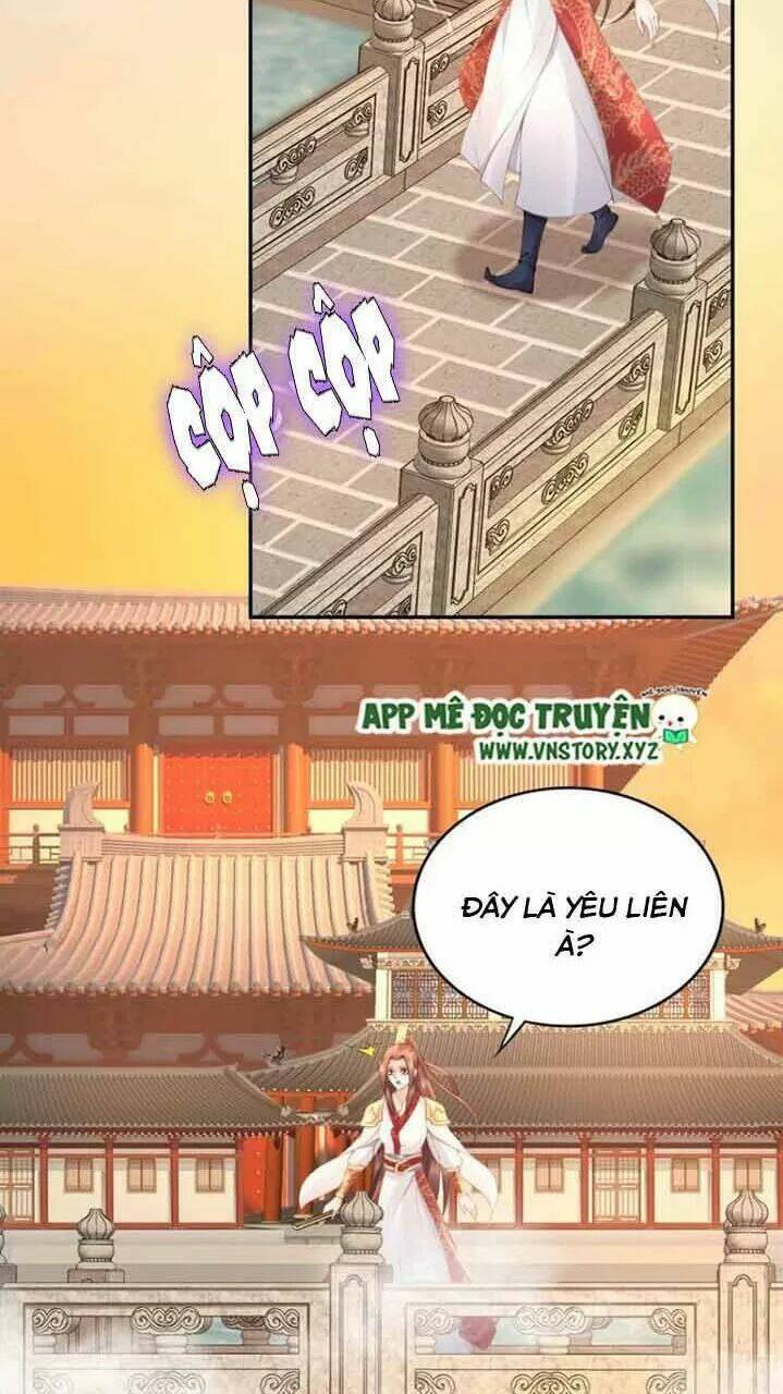 Nhất Sinh Nhất Thế Tiếu Thương Khung: Chapter 100