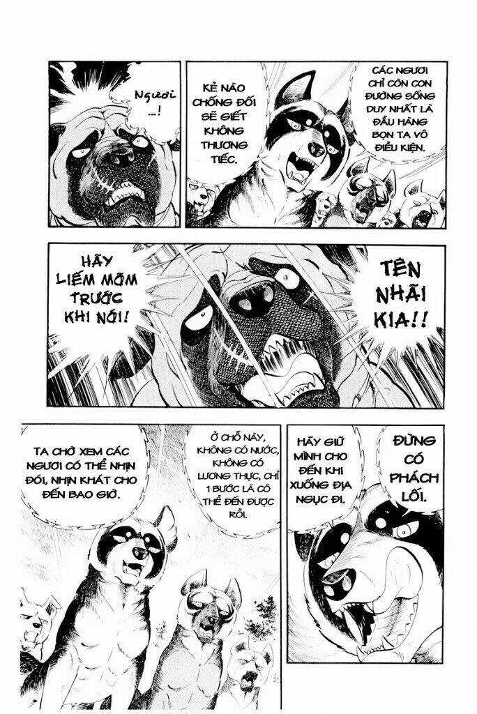 Chú Chó Có Nghĩa - Ginga Nagareboshi Gin: Chapter 30.2