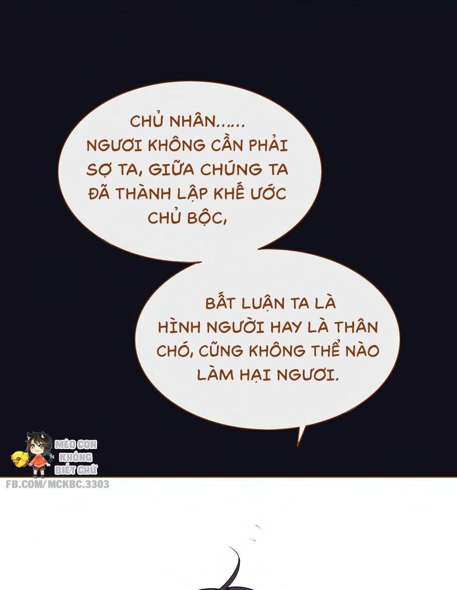 Boss Khủng Bố Chiếm Đoạt Ta: Chapter 4